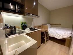 Mount Elizabeth Link (D9), Condominium #497013821